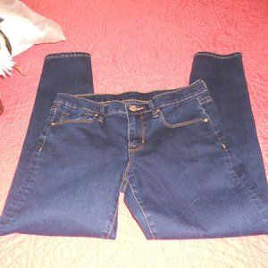 BDG Urban Outfitters Size 30 Jeans Dark Wash Twig Mid Rise